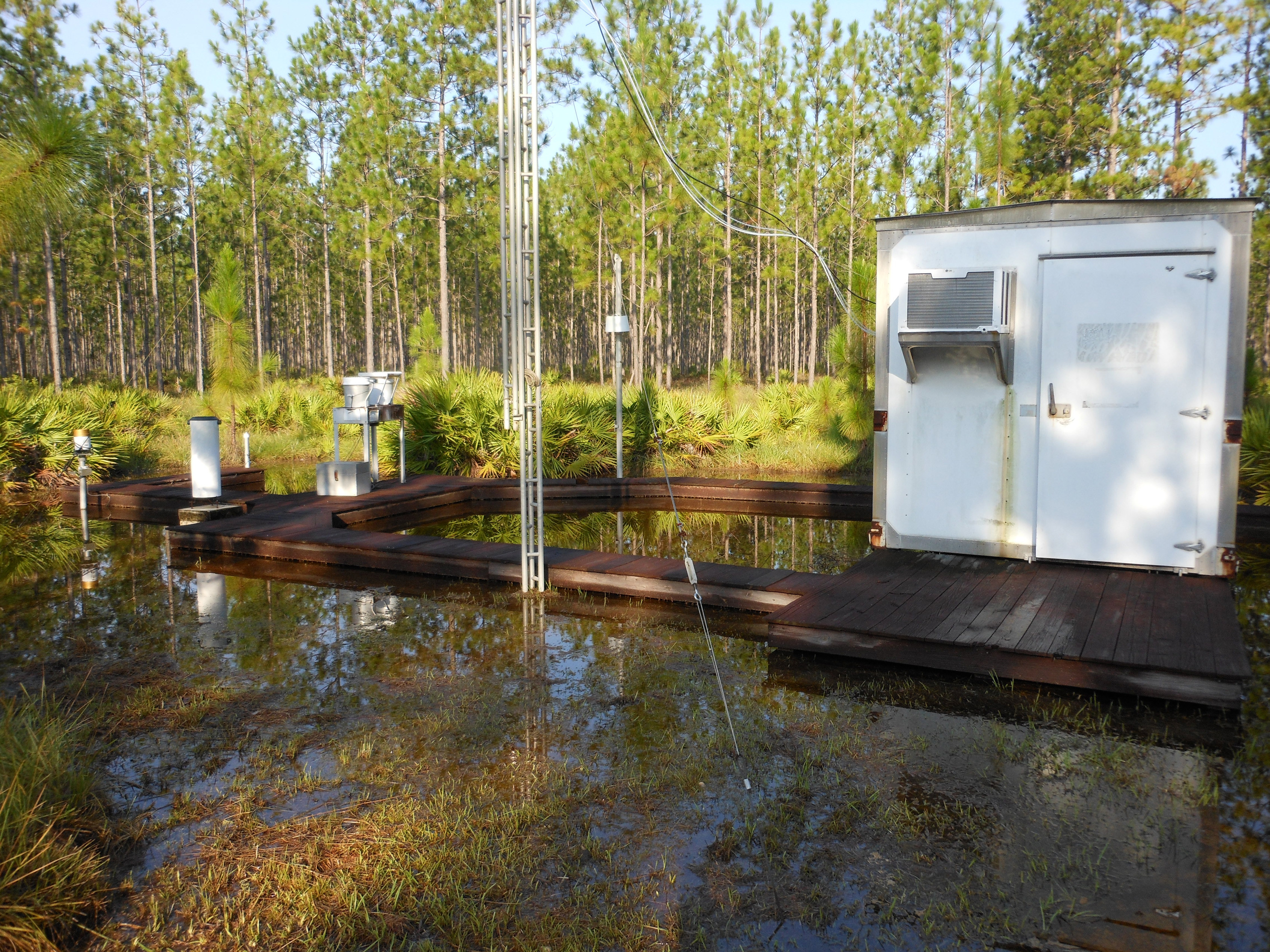 Sumatra, FL (SUM156)