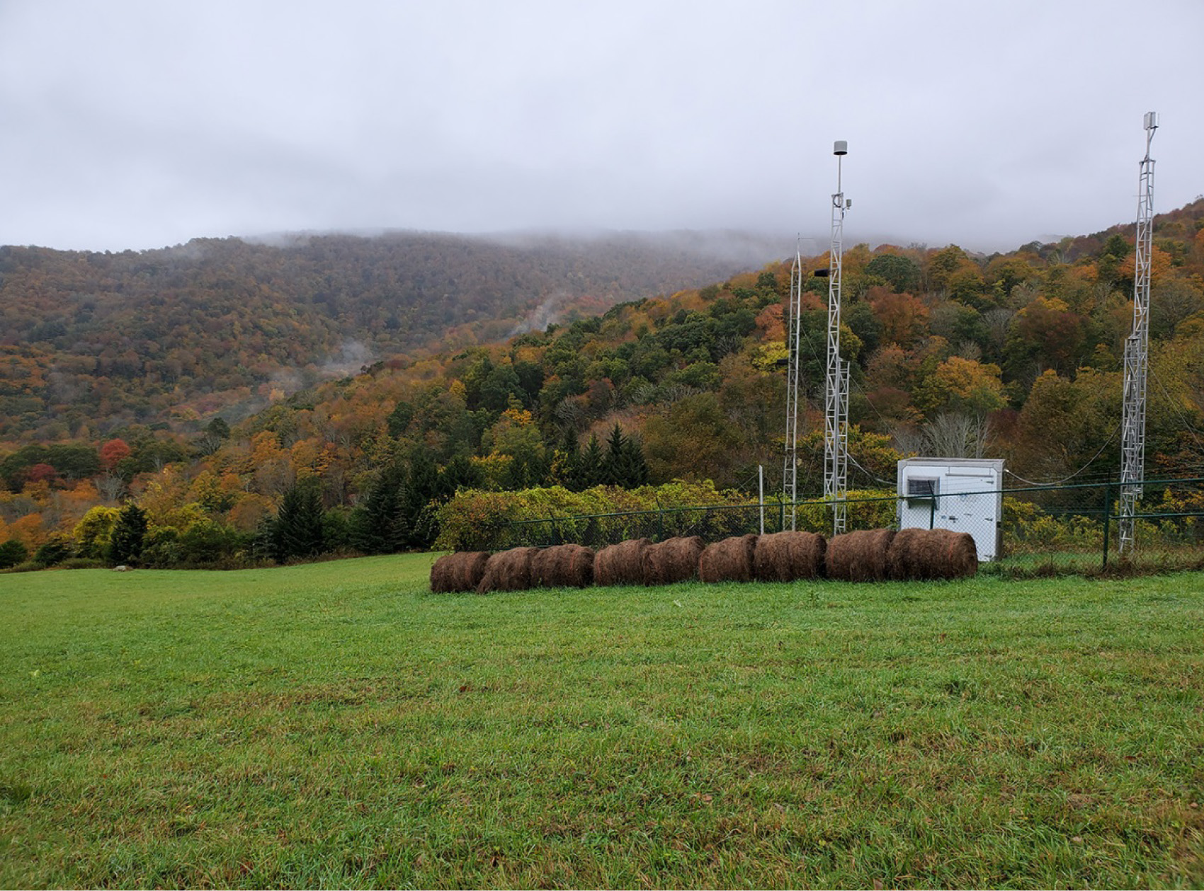 Cranberry, NC (PNF126)