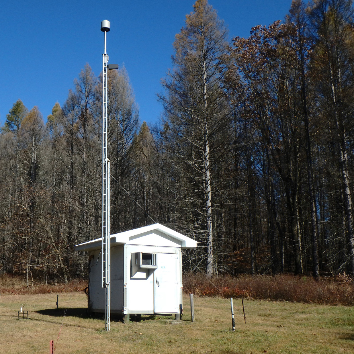 Laurel Hill State Park, PA (LRL117)