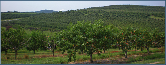 Scenic view from Arendtsville, PA (ARE128)