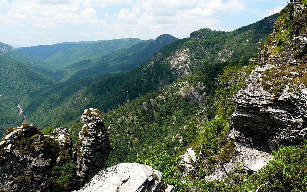 Linville Gorge Wilderness