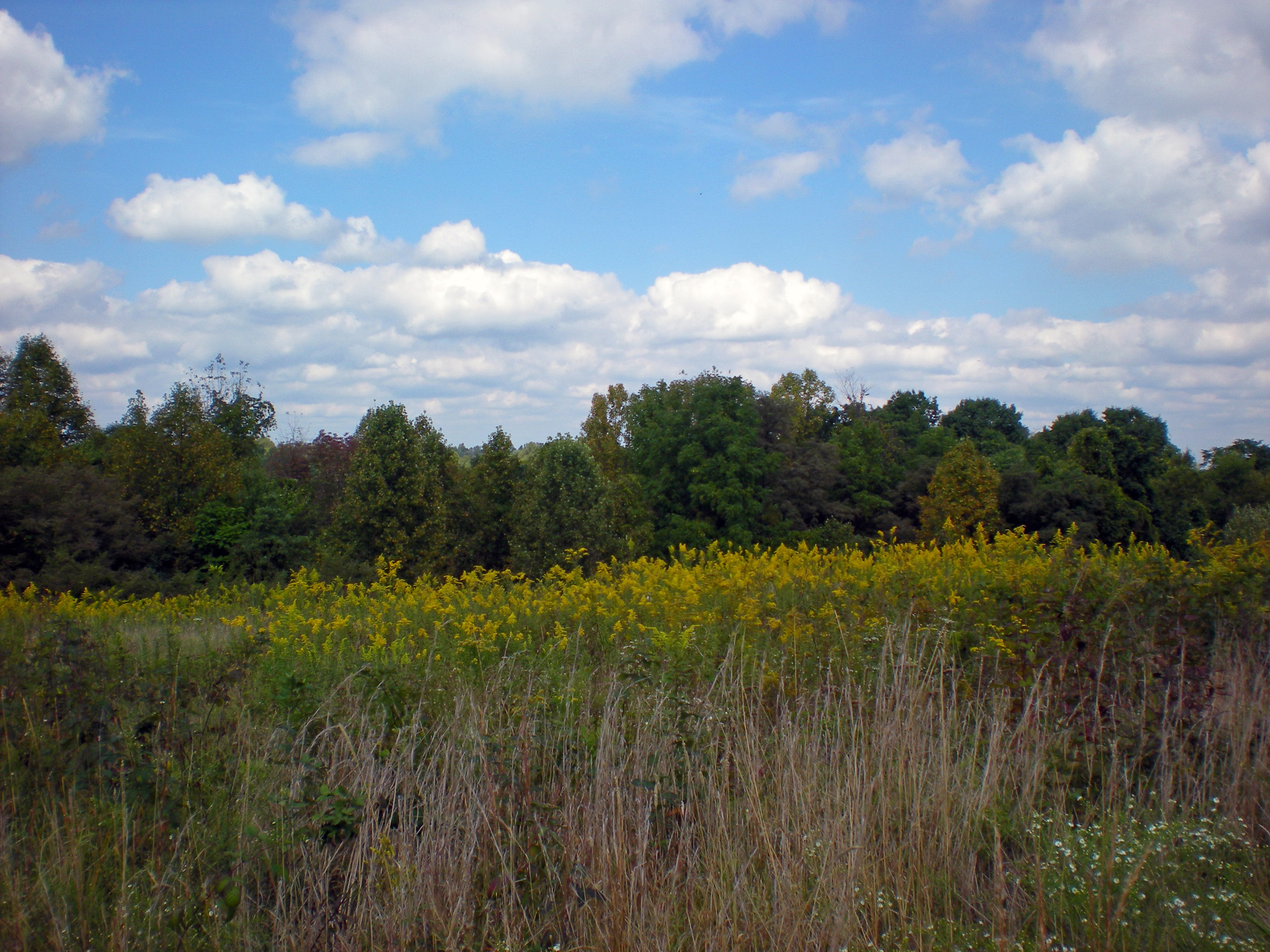 Scenic view from Quaker City