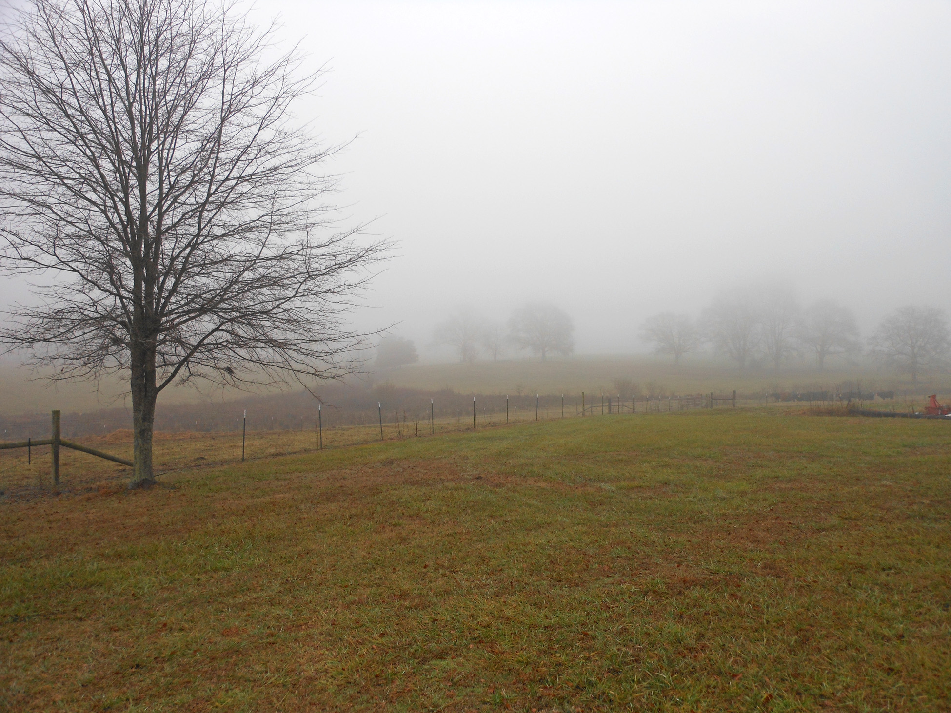 Sand Mountain, AL (SND152)