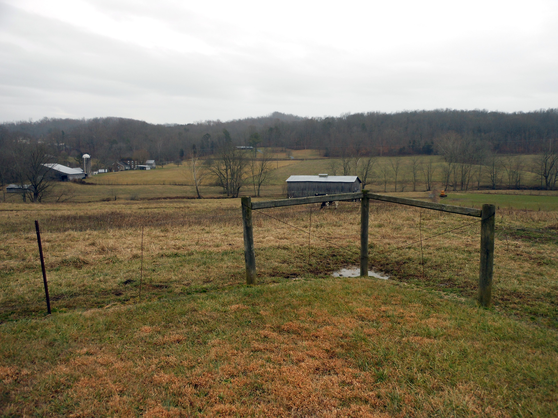 Speedwell, TN (SPD111)