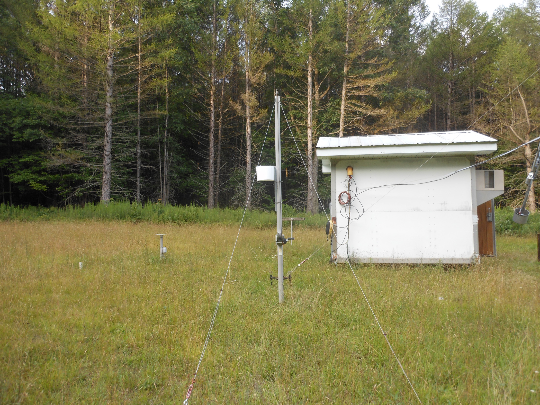 Laurel Hill State Park, PA (LRL117)