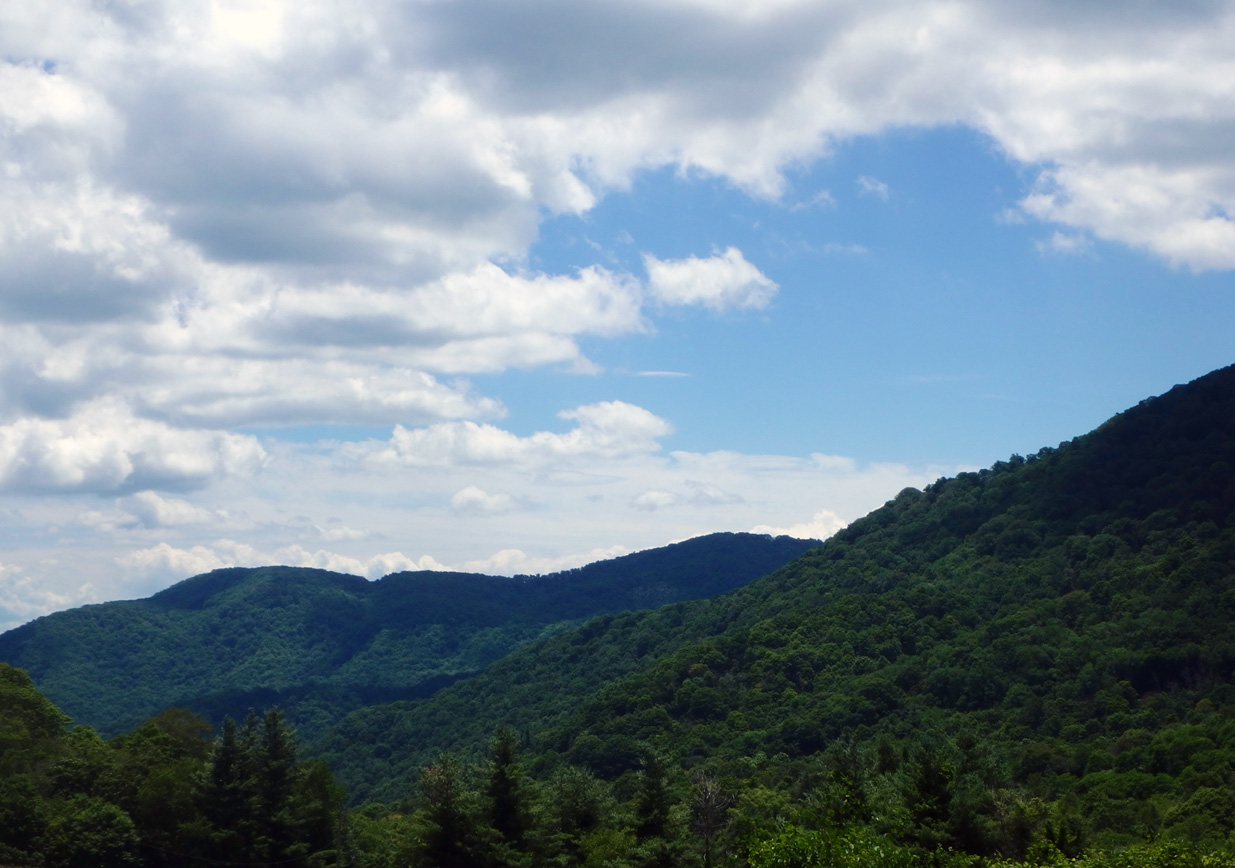 Scenic View from PNF126, NC