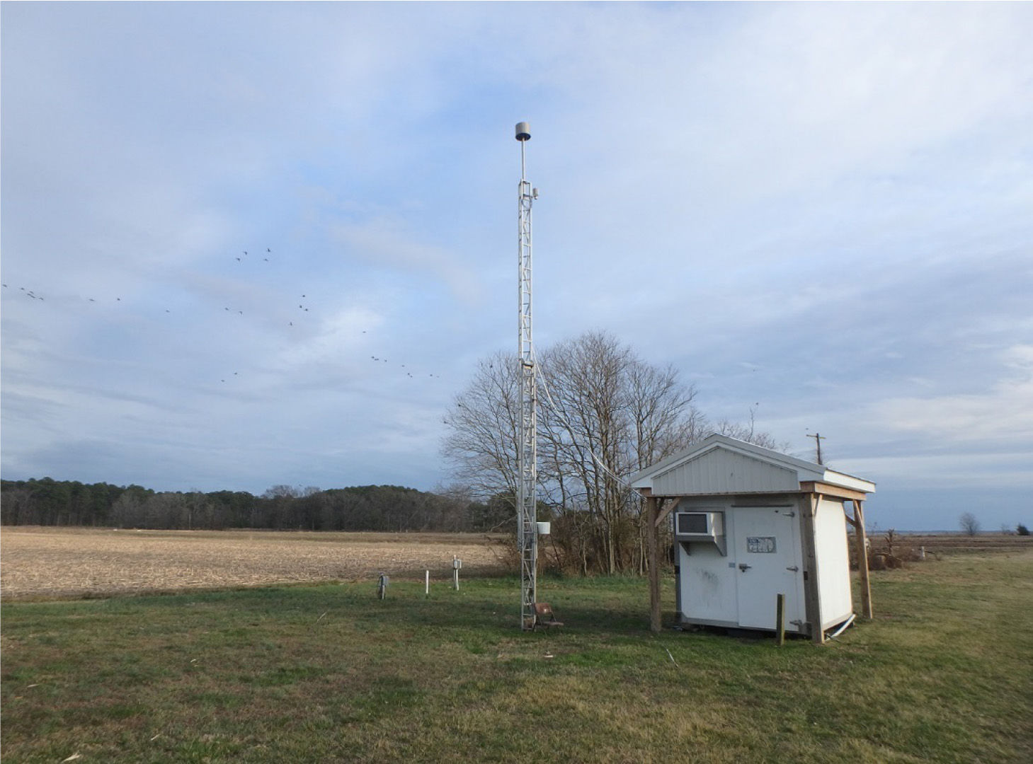 Blackwater, MD (BWR139)