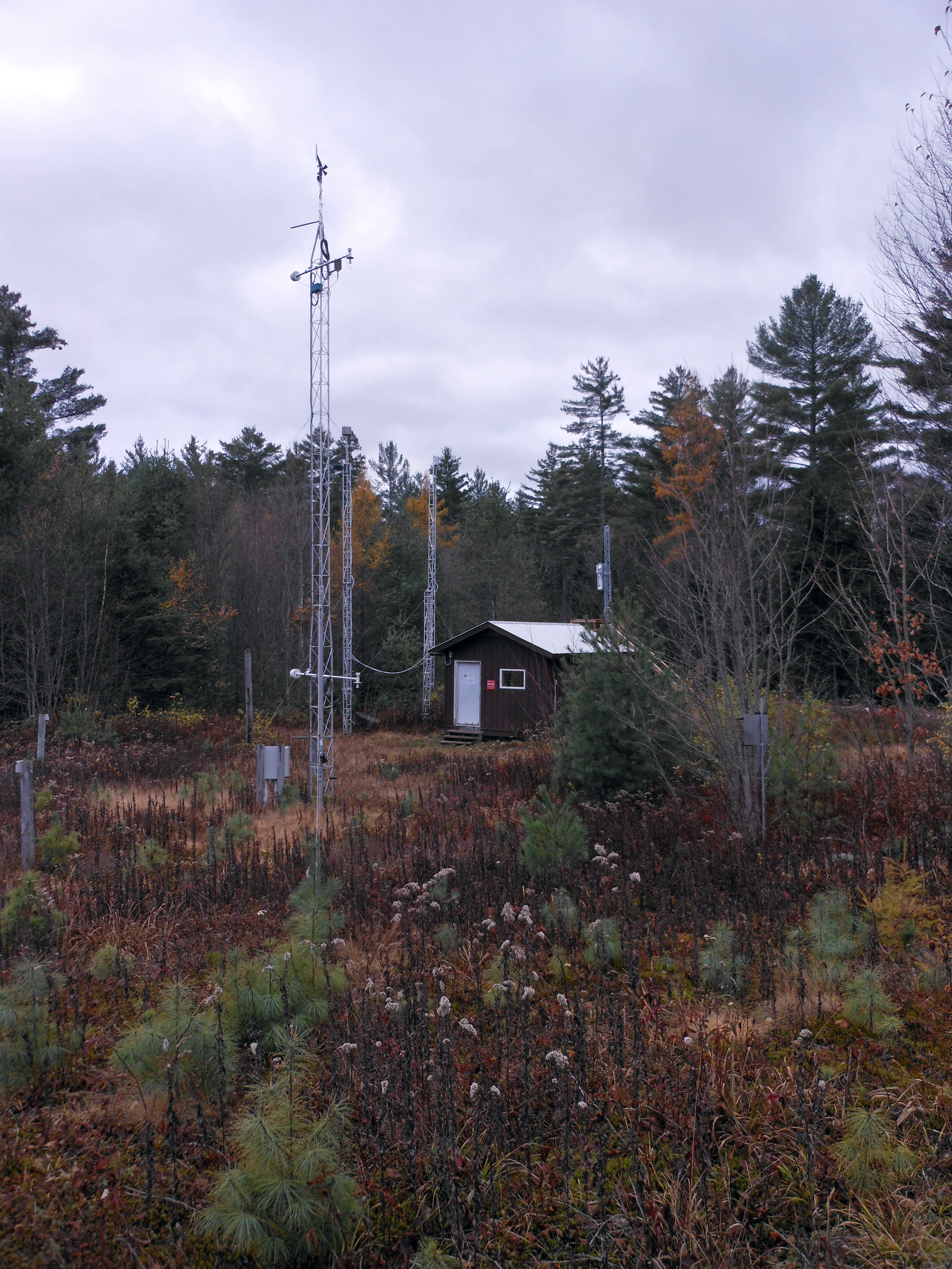 Huntington Wildlife Forest, NY (HWF187)