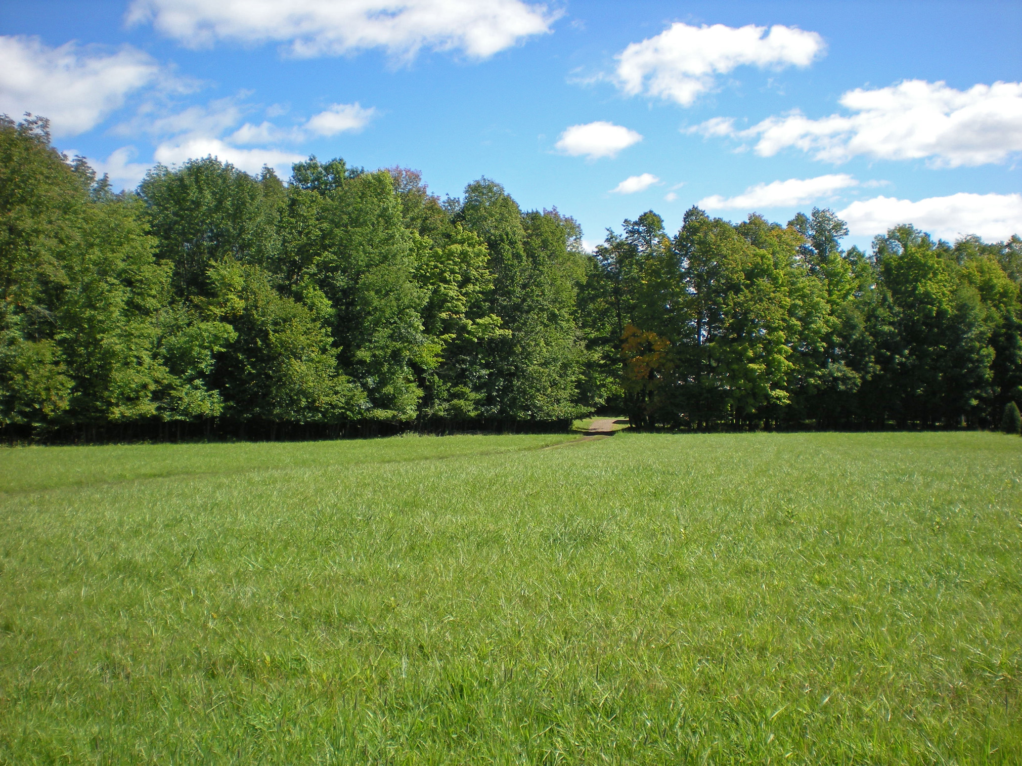 Scenic view from Perkinstown, WI (PRK134)